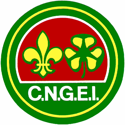 CNGEI